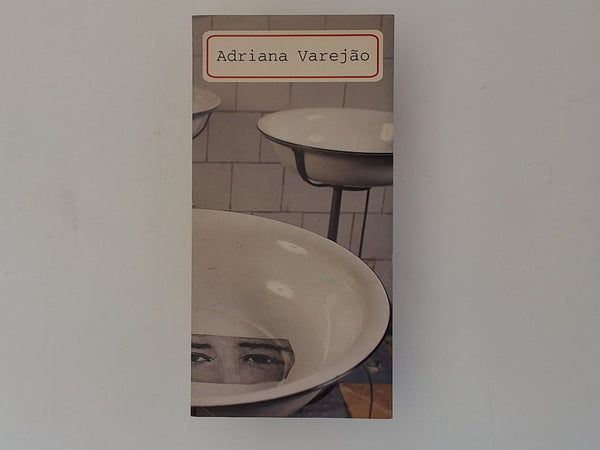 Adriana Varejao - XXII Bienal de Sao Paulo