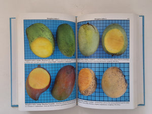 Brazilian Fruits & Cultivated Exotics (for cunsuming in natura) - Harry Lorenzi