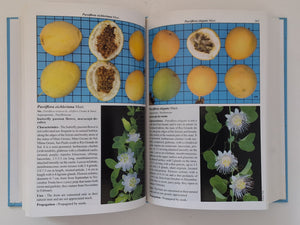 Brazilian Fruits & Cultivated Exotics (for cunsuming in natura) - Harry Lorenzi