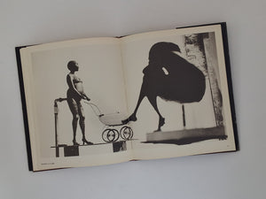 Cornelis Zitman - Museo de Arte Contemporaneo de Caracas