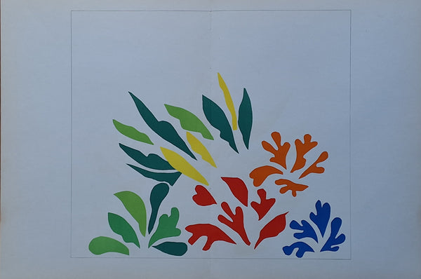 Acanthes - Lithograph from Dernieres Oeuvres de matisse - Verve 35 - 36 MATISSE