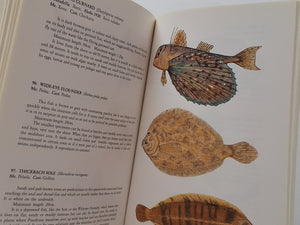 Fishes of Menorca ANTONI ESCANDELL SALOM