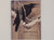 Shin - Hanga - New Prints in Modern Japan - Kendall H. Brown - Hollis Goodall - Cristante
