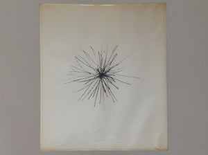 Alberto Giacometti . Parijs: Maeght Edieur, 1962 by Jacques Dupin