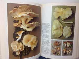 Paddestoelen En Schimmels Van West Europa - Meer Dan 900 Soorten in Unieke Kleurenfoto's