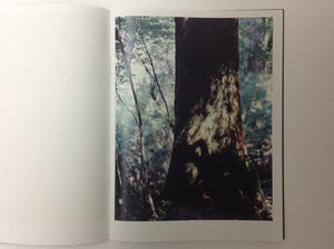 YOSHIHIKO UEDA - Materia - Kyuryudo 2012