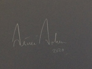 DESIRE DOLRON. Xteriors - SIGNED by the photographer - book design Irma Boom