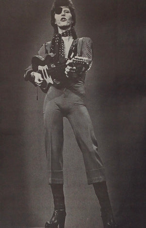 DAVID BOWIE - Melody Maker - Book of Bowie - June 1978