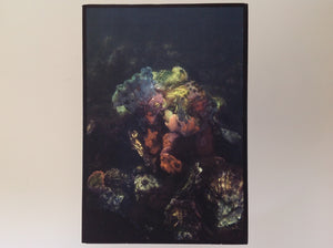 ELSPETH DIDERIX - When Red Disappears