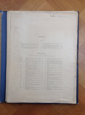 ORIENTALISCHE TEPPICHE/ TAPIS D'ORIENT - Friedrich Sarre (1865 - 1945) - Incomplete -