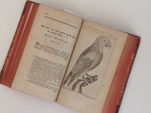 Herrn von Buffons Naturgeschichte der Vögel, Bernhard Christian Otto