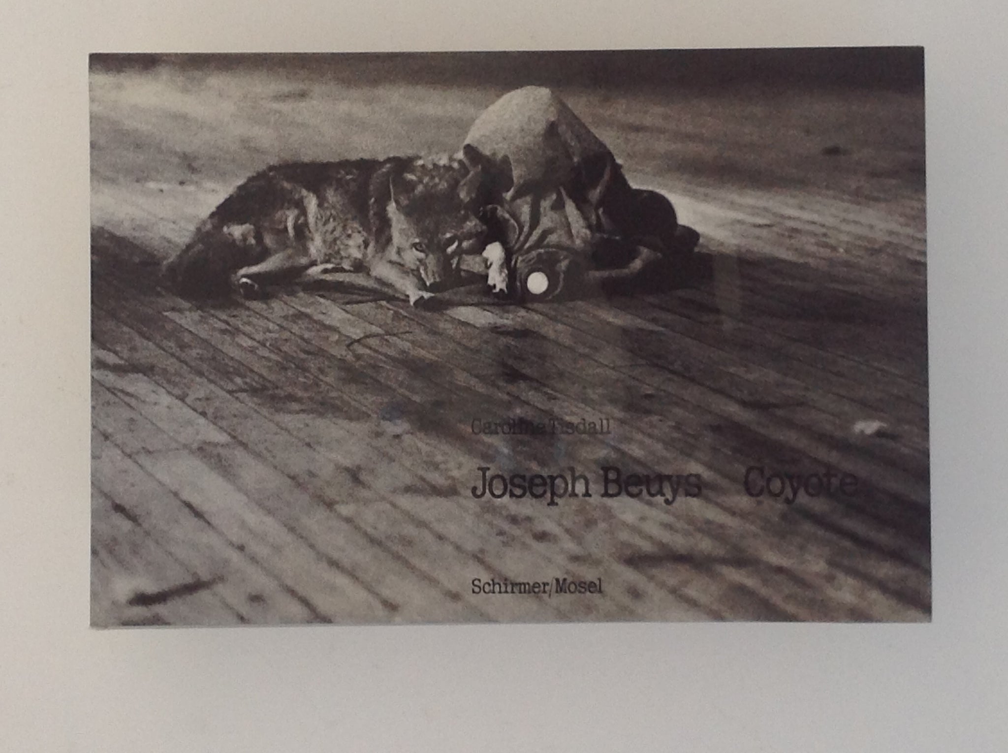 CAROLINE TISDALL. Joseph Beuys - Coyote - egidiusamsterdam.com