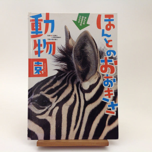 TERUYUKI KOMIYA. Life Size Zoo. photography by Toyofumi Furu