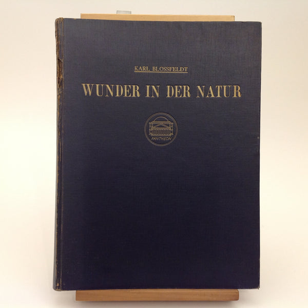 KARL BLOSSFELDT. Wunder in Der Natur