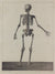 L'ANATOMIE DE L'HOMME,  Human Skeletton