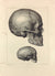 J.M. Bourgery, N.H. Jacob  L'Anatomie de L'Homme, Tètes