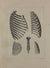 L'Anatomie de L'Homme, 4 lithographs