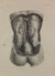 L'Anatomie de L'Homme, Enveloppes Viscérales de la Cavité Abdominale