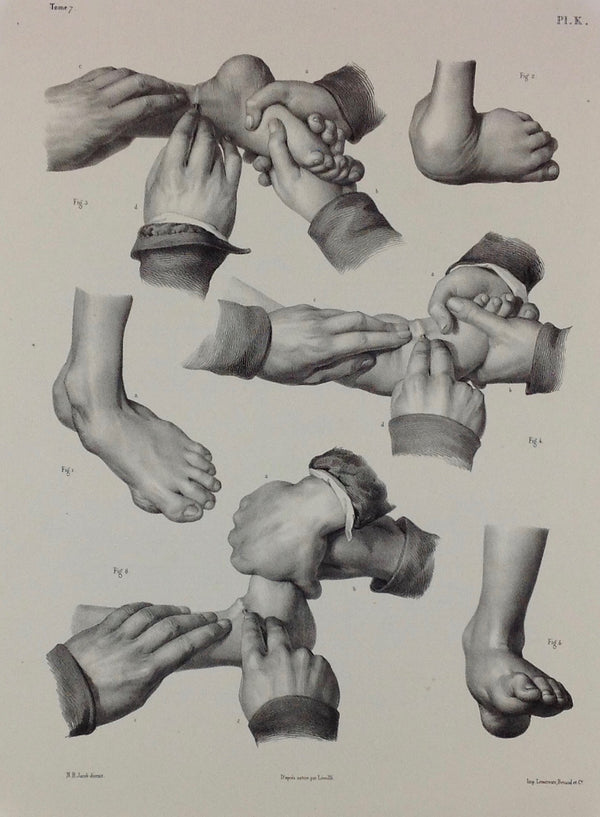 J.M. Bourgery, N.H. Jacob   L'Anatomie de L'Homme, Problèmes des Pieds