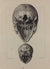 J.M. Bourgery, N.H. Jacob   L'Anatomie de L'Homme, Tètes
