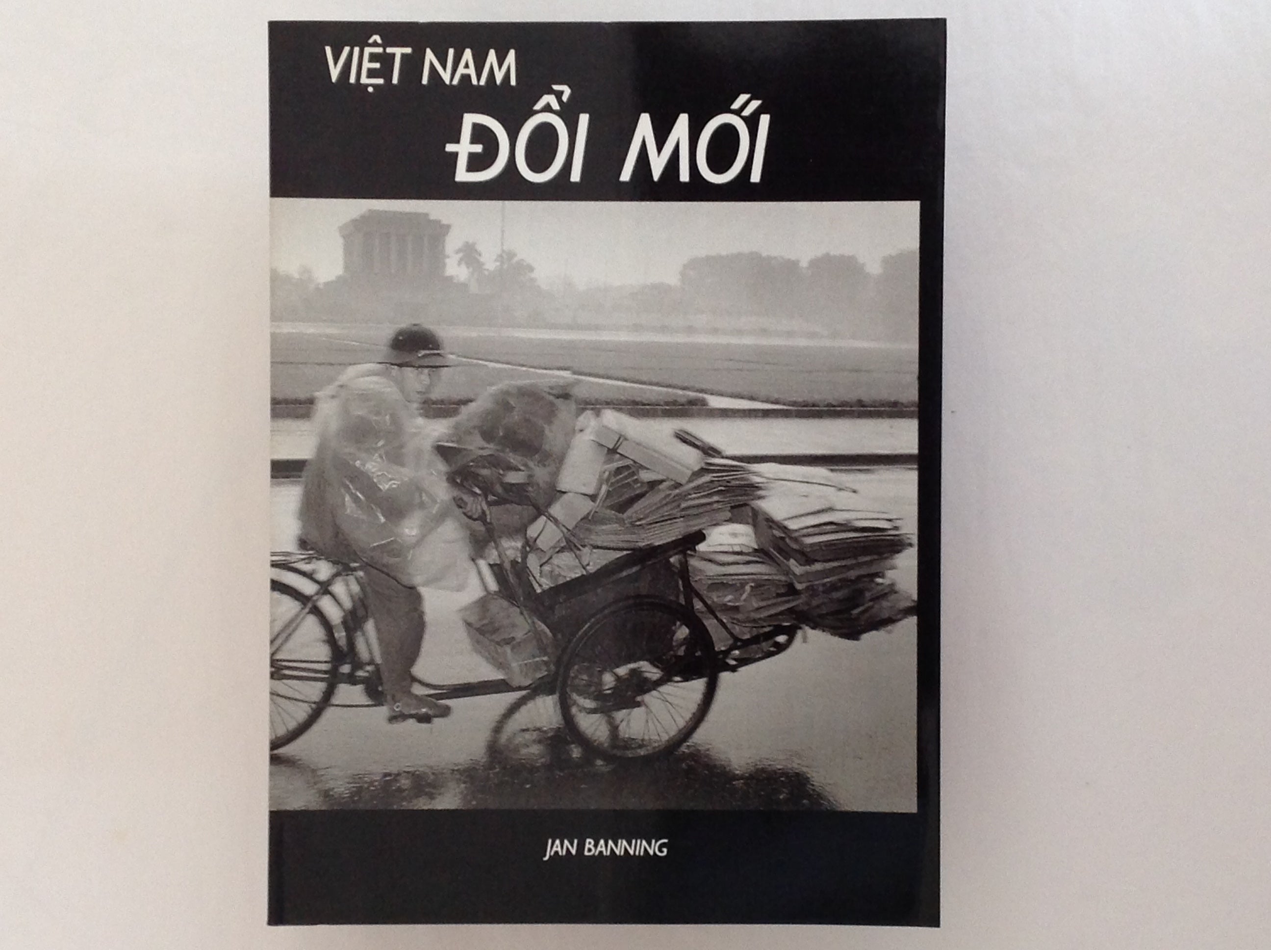 VIỆT NAM ĐỔI MỚI JAN BANNING Vietnam: Doi Moi - Banning, Jan: 9789072216380 - AbeBooks