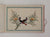 Chinese export album with 12 gouaches of birds on pith paper.Chinese Export Album with a complete set of 12 coloured gouaches (image size 290 x 180 Mm) of birds on pith paper, in original silk binding, China ca. 1850, oblong