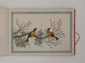 Chinese export album with 12 gouaches of birds on pith paper.