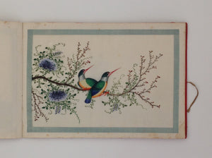 Chinese export album with 12 gouaches of birds on pith paper.