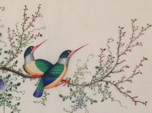 Chinese export album with 12 gouaches of birds on pith paper.