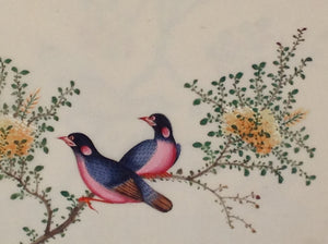 Chinese export album with 12 gouaches of birds on pith paper.