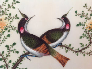 Chinese export album with 12 gouaches of birds on pith paper.