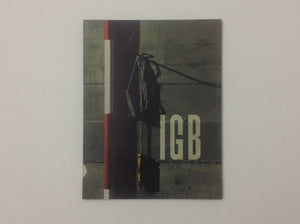 IGB - Internationale Gewapendbeton Bouw N.V.1905 - 1955 - Gedenkboek